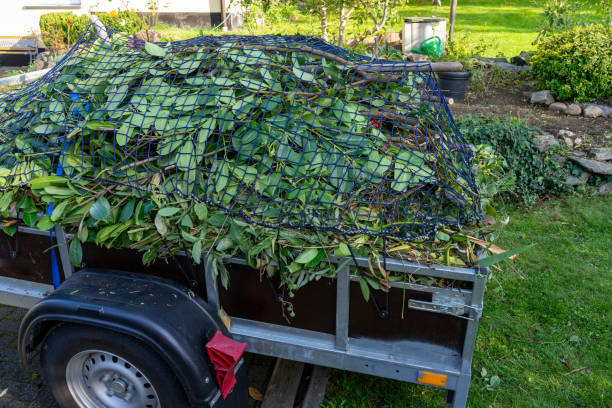 Best Commercial Junk Removal  in Seabrook Farms, NJ